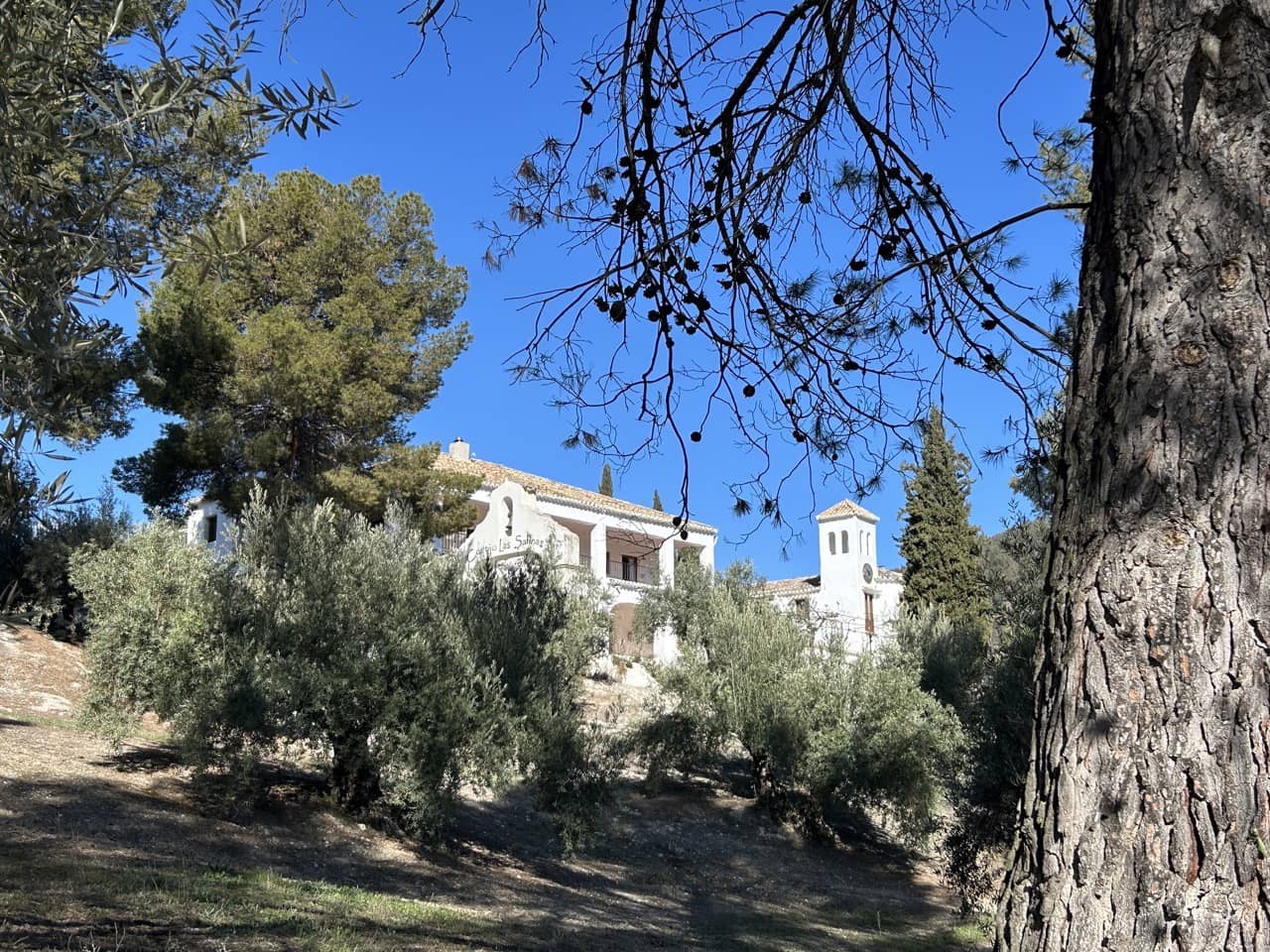 14 soveværelse Finca/Landehus til salg i Alcaudete med swimmingpool garage - € 1.250.000 (Ref: 8738362)