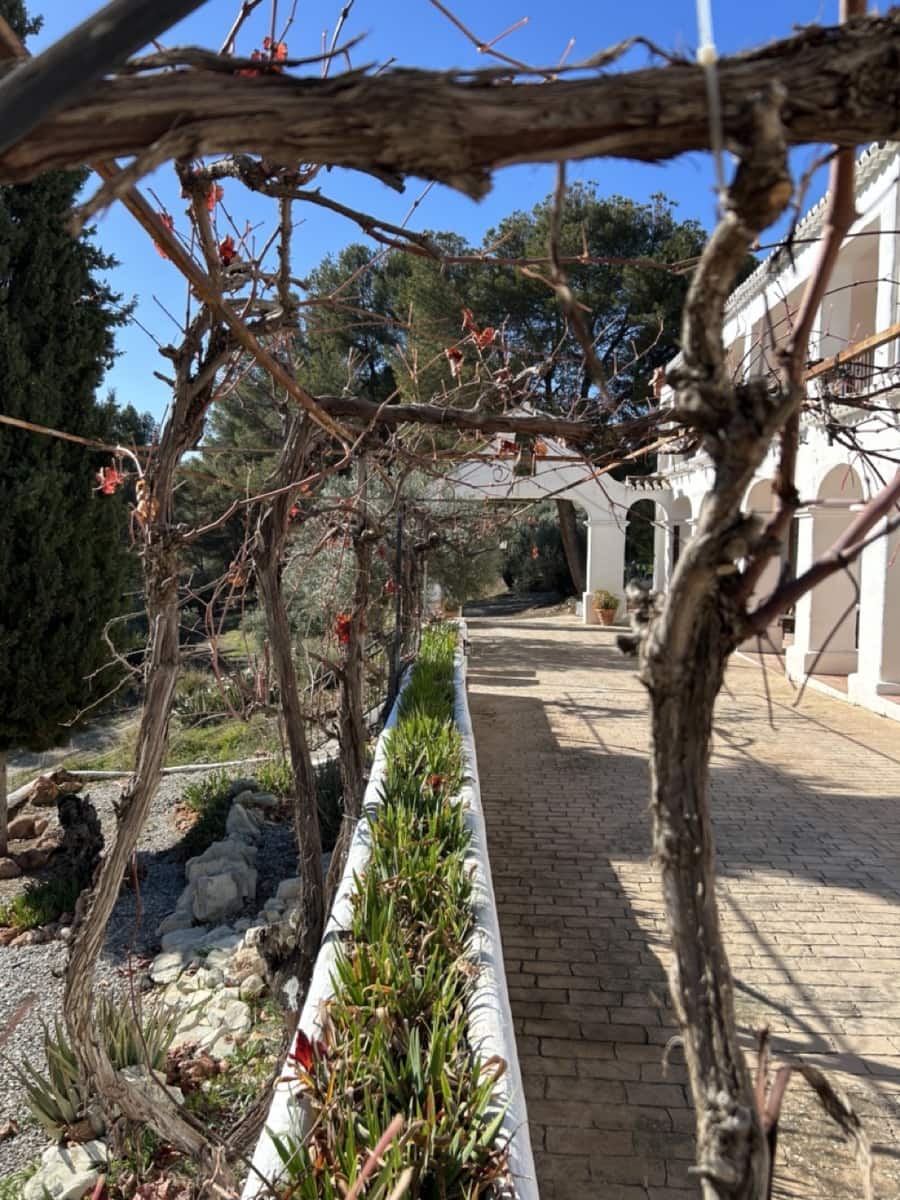 14 soveværelse Finca/Landehus til salg i Alcaudete med swimmingpool garage - € 1.250.000 (Ref: 8738362)