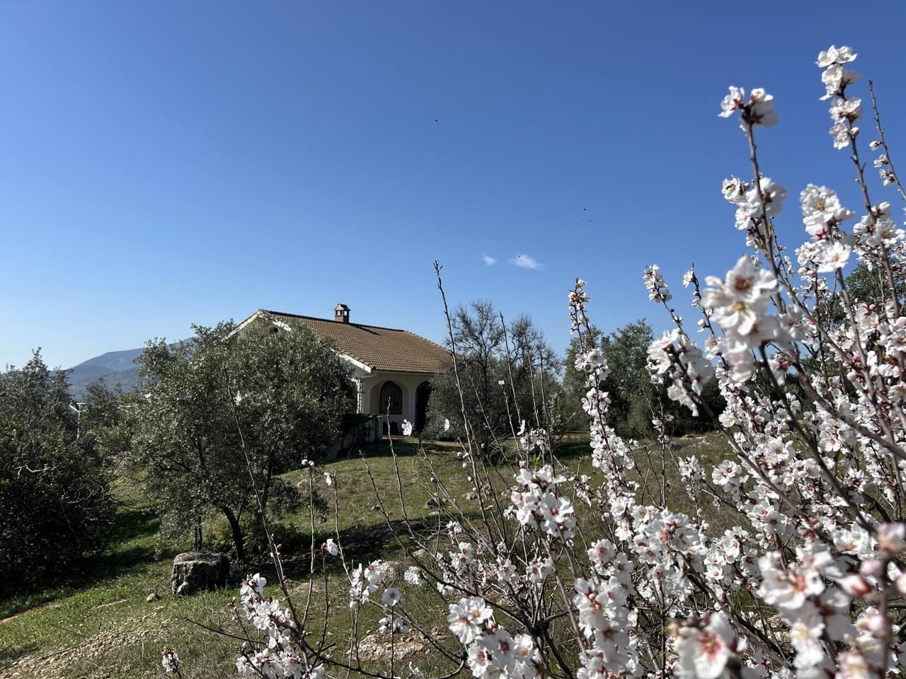 2 soveværelse Finca/Landehus til salg i Priego de Cordoba med garage - € 269.000 (Ref: 8839873)