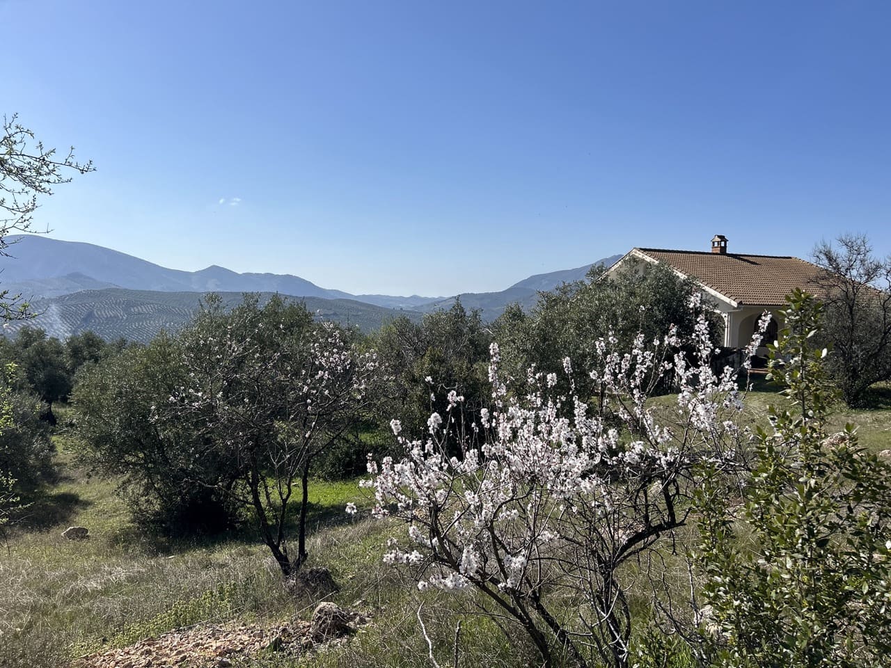 2 soveværelse Finca/Landehus til salg i Priego de Cordoba med garage - € 269.000 (Ref: 8839873)