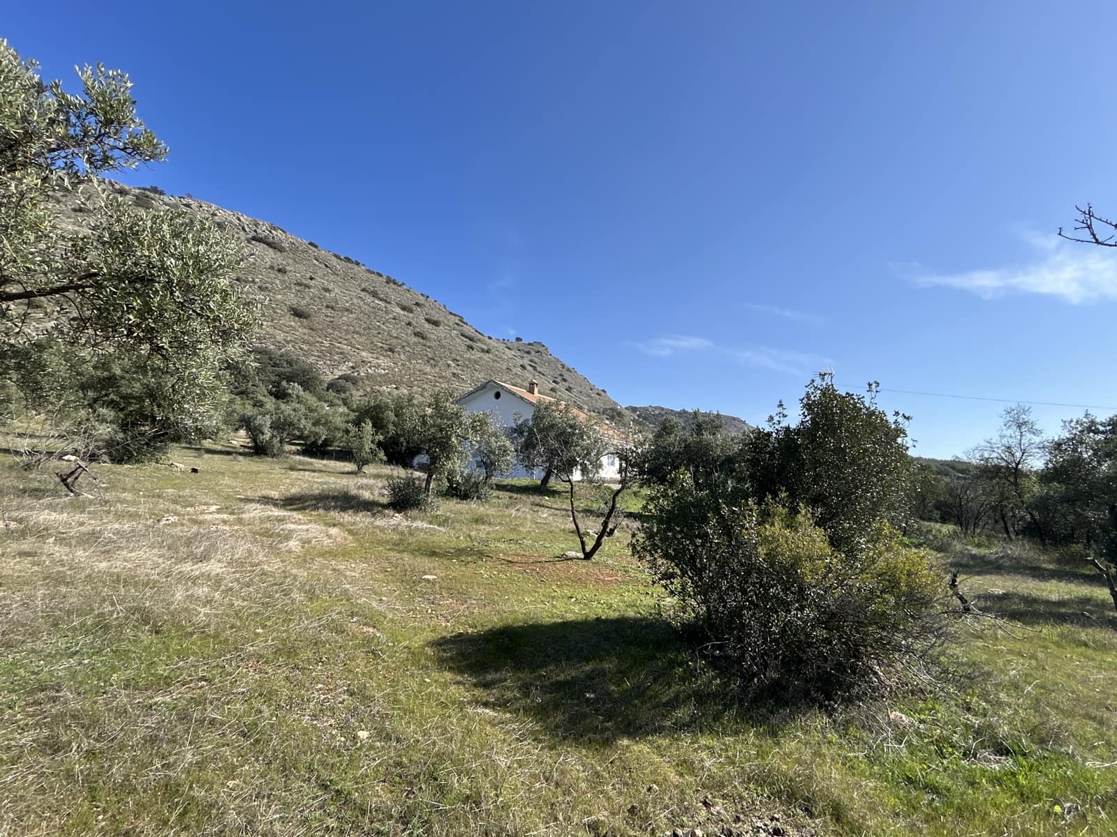 2 soveværelse Finca/Landehus til salg i Priego de Cordoba med garage - € 269.000 (Ref: 8839873)