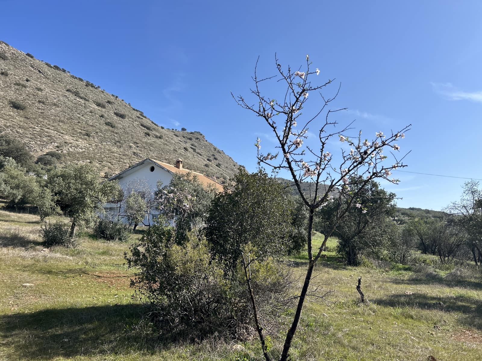 2 soveværelse Finca/Landehus til salg i Priego de Cordoba med garage - € 269.000 (Ref: 8839873)