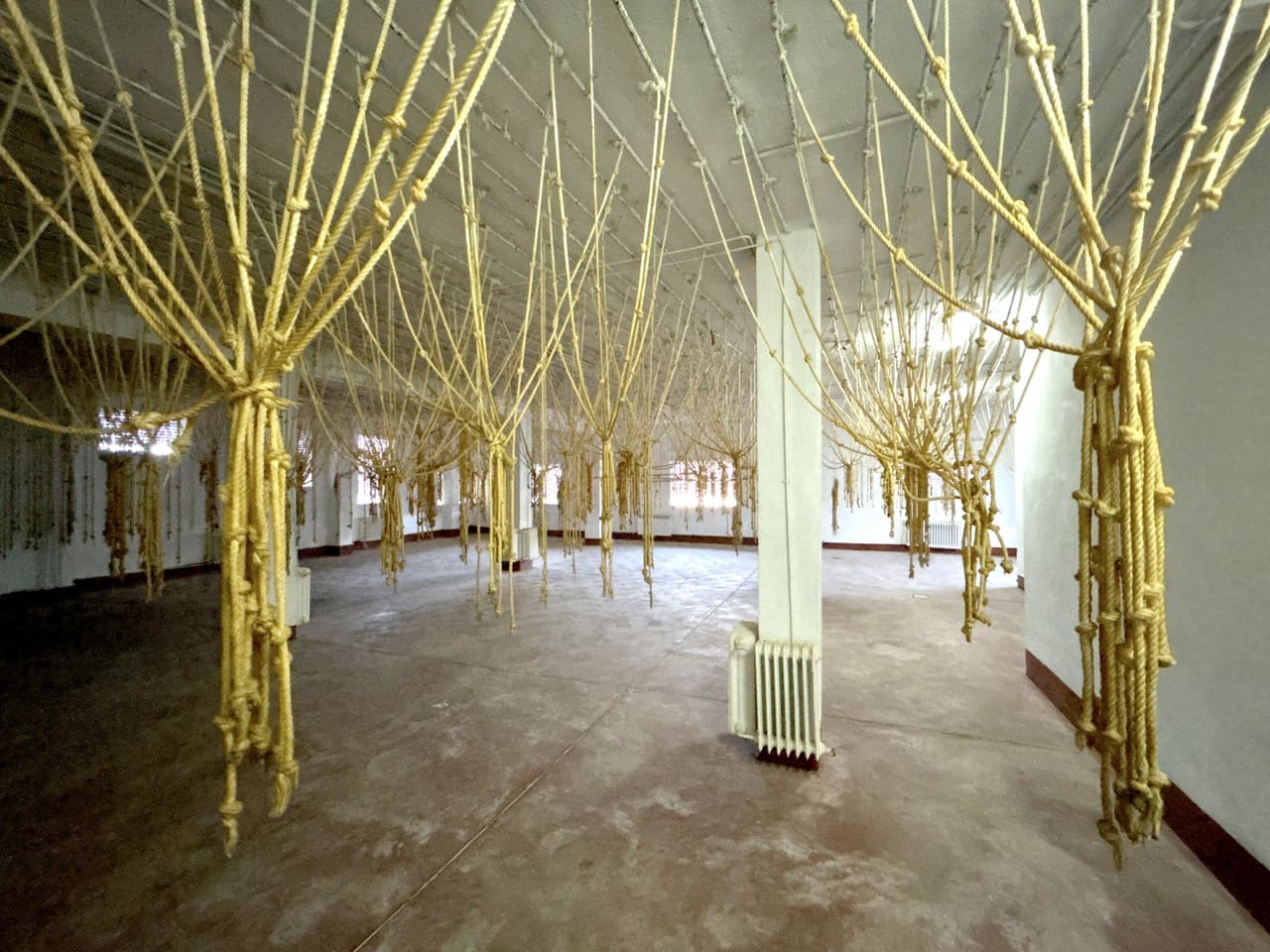 Kommersiell til salgs i Colomera - € 350 000 (Ref: 8929611)