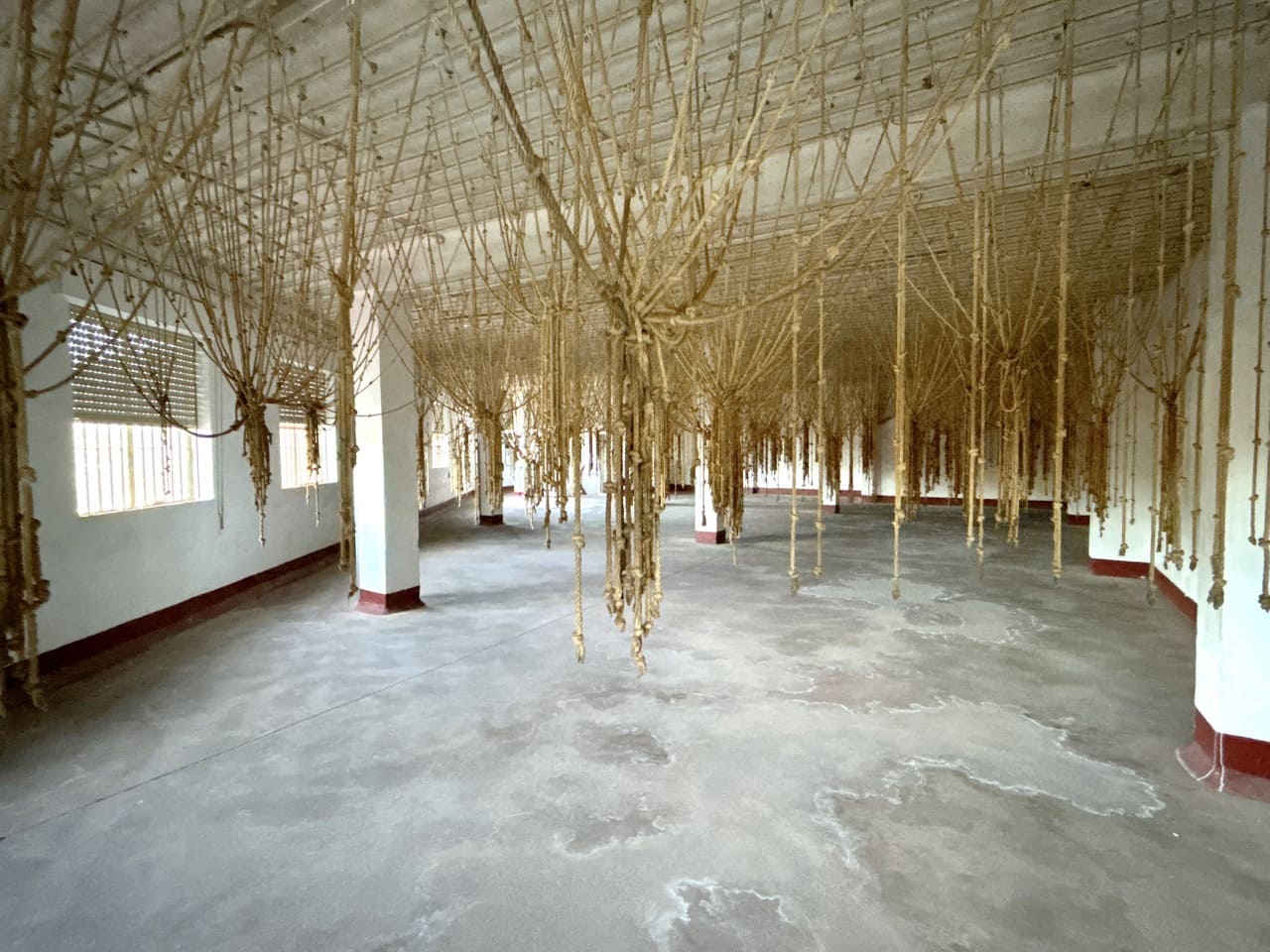 Kommersiell til salgs i Colomera - € 350 000 (Ref: 8929611)