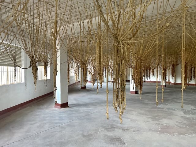 Kommersiell til salgs i Colomera - € 350 000 (Ref: 8929611)