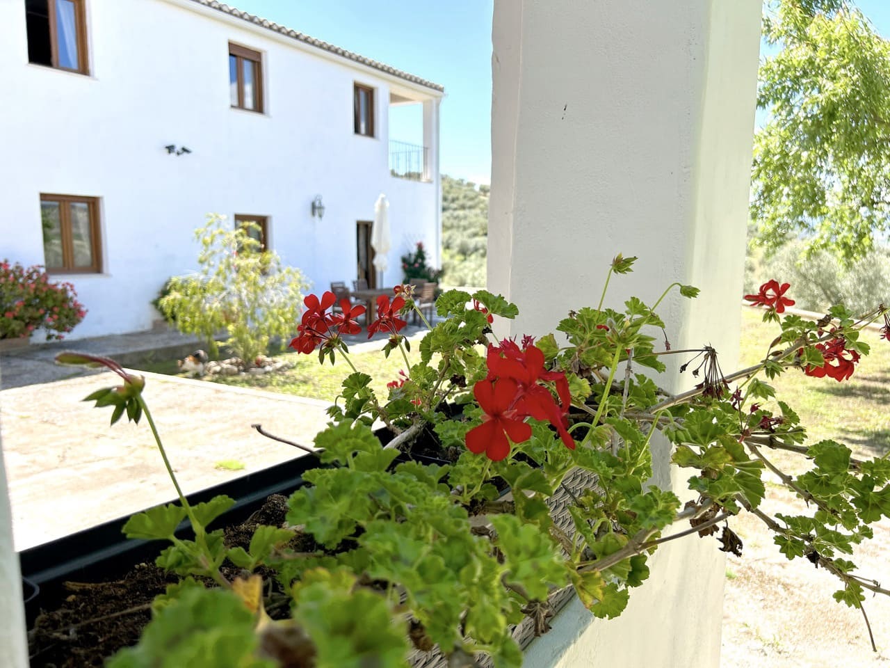 5 bedroom Finca/Country House for sale in Santa Cruz del Comercio with garage - € 1,300,000 (Ref: 8961929)