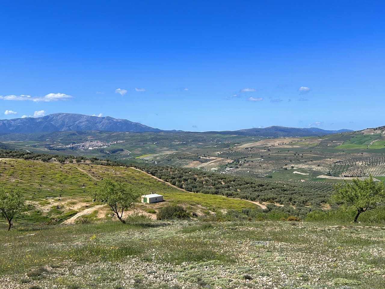 5 bedroom Finca/Country House for sale in Santa Cruz del Comercio with garage - € 1,300,000 (Ref: 8961929)