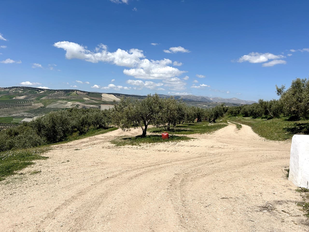 5 bedroom Finca/Country House for sale in Santa Cruz del Comercio with garage - € 1,300,000 (Ref: 8961929)