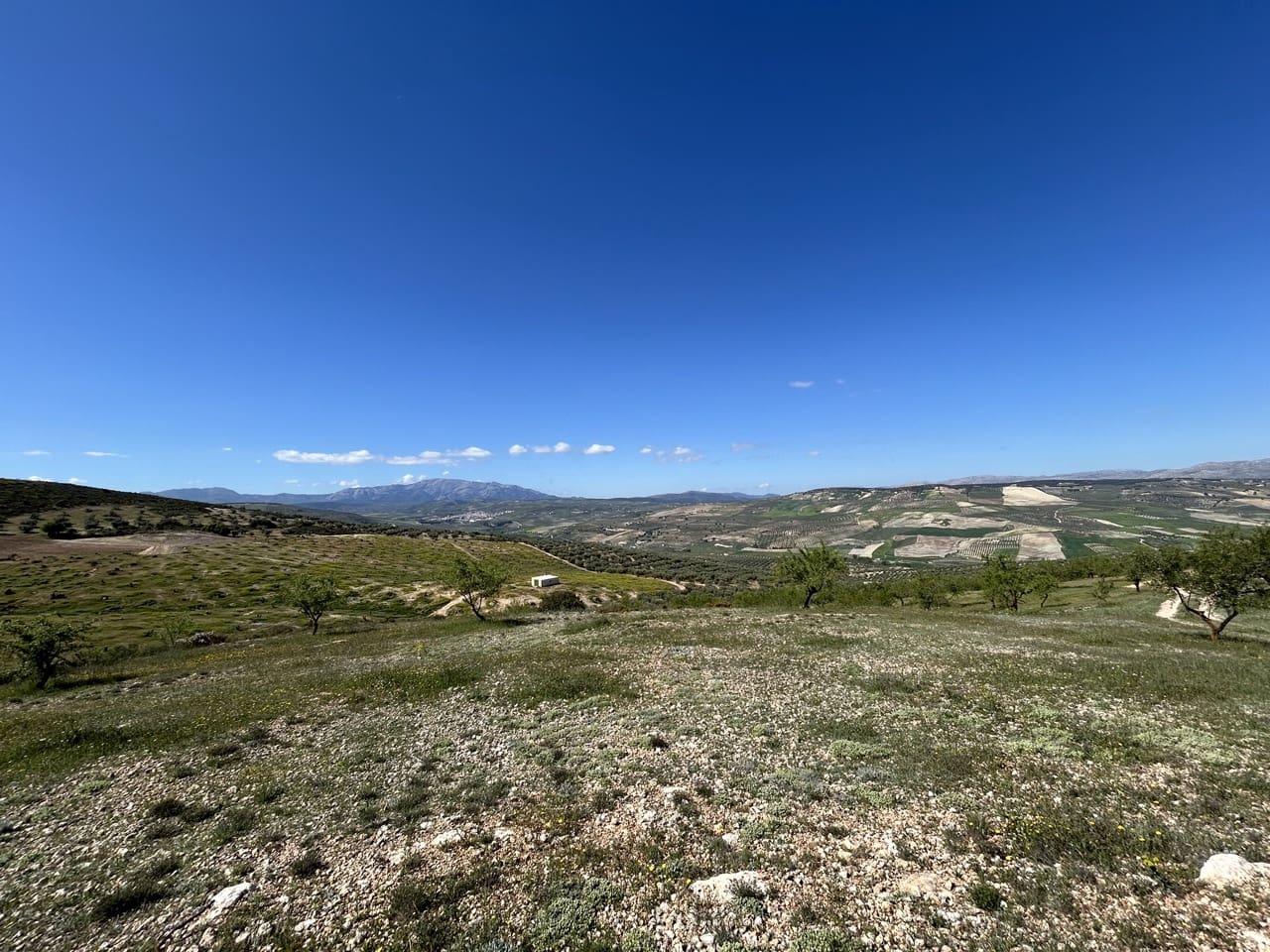 5 bedroom Finca/Country House for sale in Santa Cruz del Comercio with garage - € 1,300,000 (Ref: 8961929)