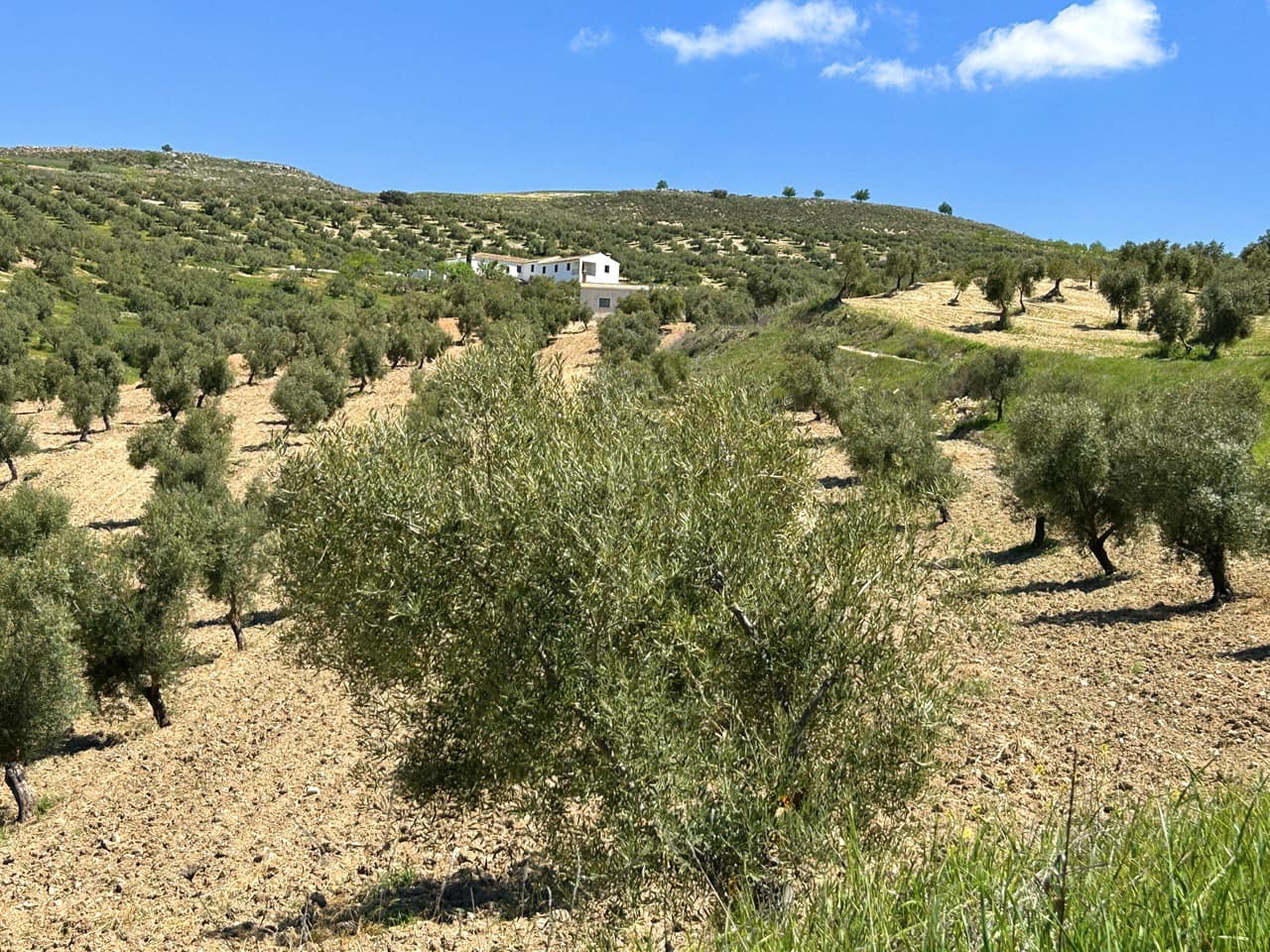 5 bedroom Finca/Country House for sale in Santa Cruz del Comercio with garage - € 1,300,000 (Ref: 8961929)