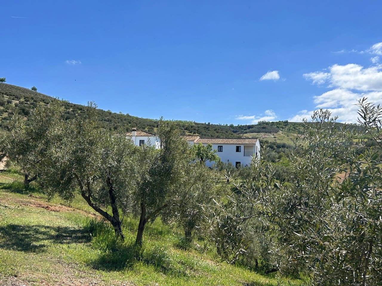 5 bedroom Finca/Country House for sale in Santa Cruz del Comercio with garage - € 1,300,000 (Ref: 8961929)