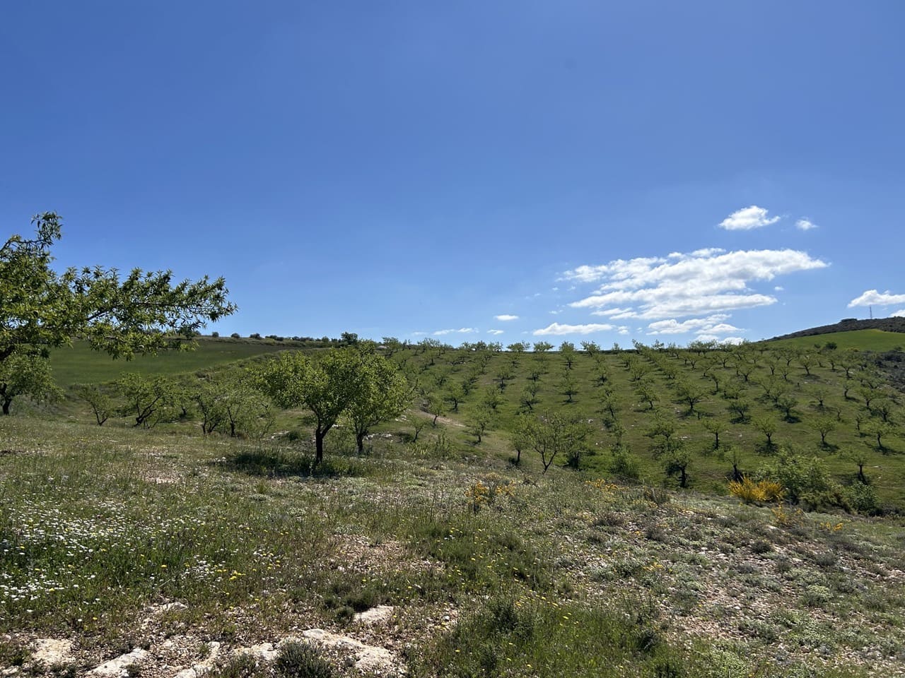 5 bedroom Finca/Country House for sale in Santa Cruz del Comercio with garage - € 1,300,000 (Ref: 8961929)