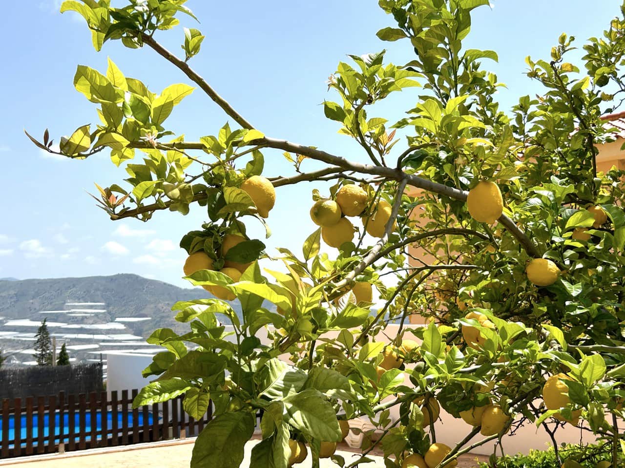 5 soveværelse Villa til salg i Gualchos med swimmingpool garage - € 355.000 (Ref: 8964108)