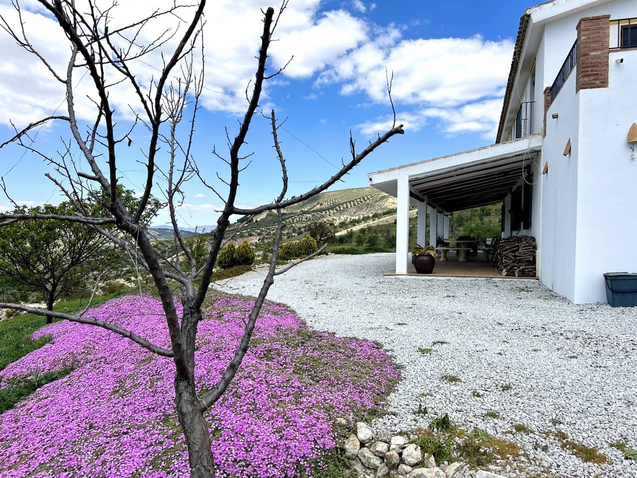 15 soveværelse Guesthouse/B & B til salg i Santa Cruz del Comercio med swimmingpool garage - € 1.750.000 (Ref: 8969717)