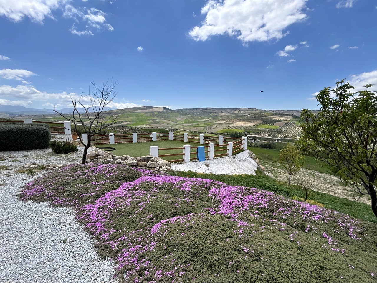 15 soveværelse Guesthouse/B & B til salg i Santa Cruz del Comercio med swimmingpool garage - € 1.750.000 (Ref: 8969717)