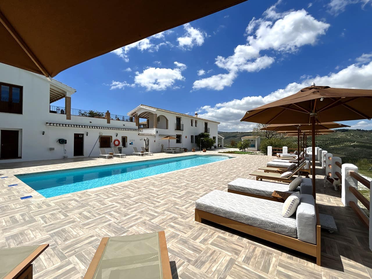 15 soveværelse Guesthouse/B & B til salg i Santa Cruz del Comercio med swimmingpool garage - € 1.750.000 (Ref: 8969717)