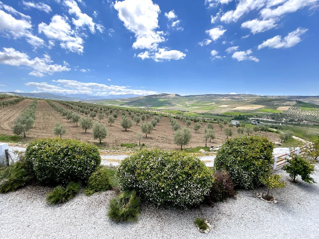 15 soveværelse Guesthouse/B & B til salg i Santa Cruz del Comercio med swimmingpool garage - € 1.750.000 (Ref: 8969717)