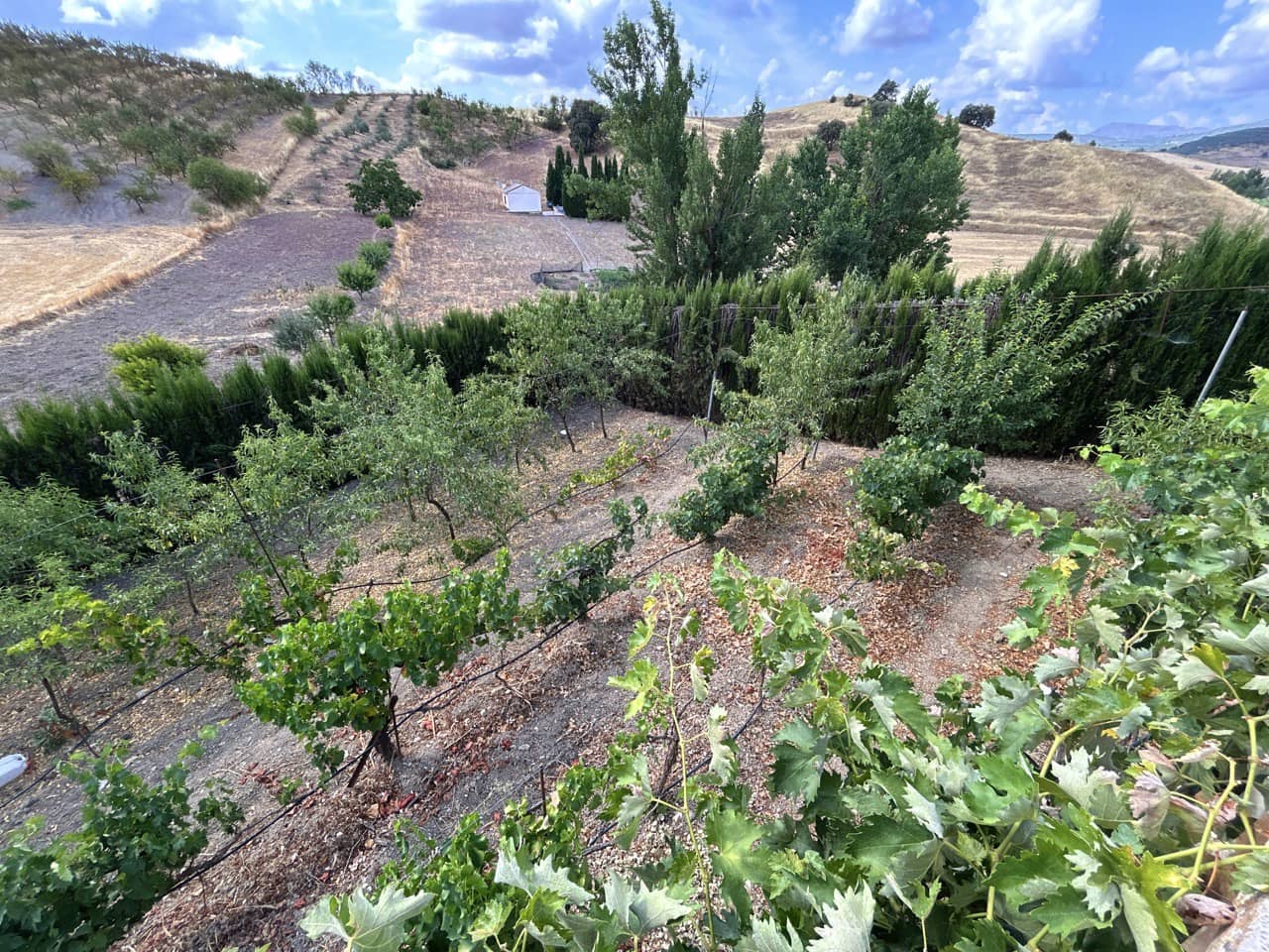 7 soverom Villa til salgs i Mures med svømmebasseng garasje - € 280 000 (Ref: 9143631)