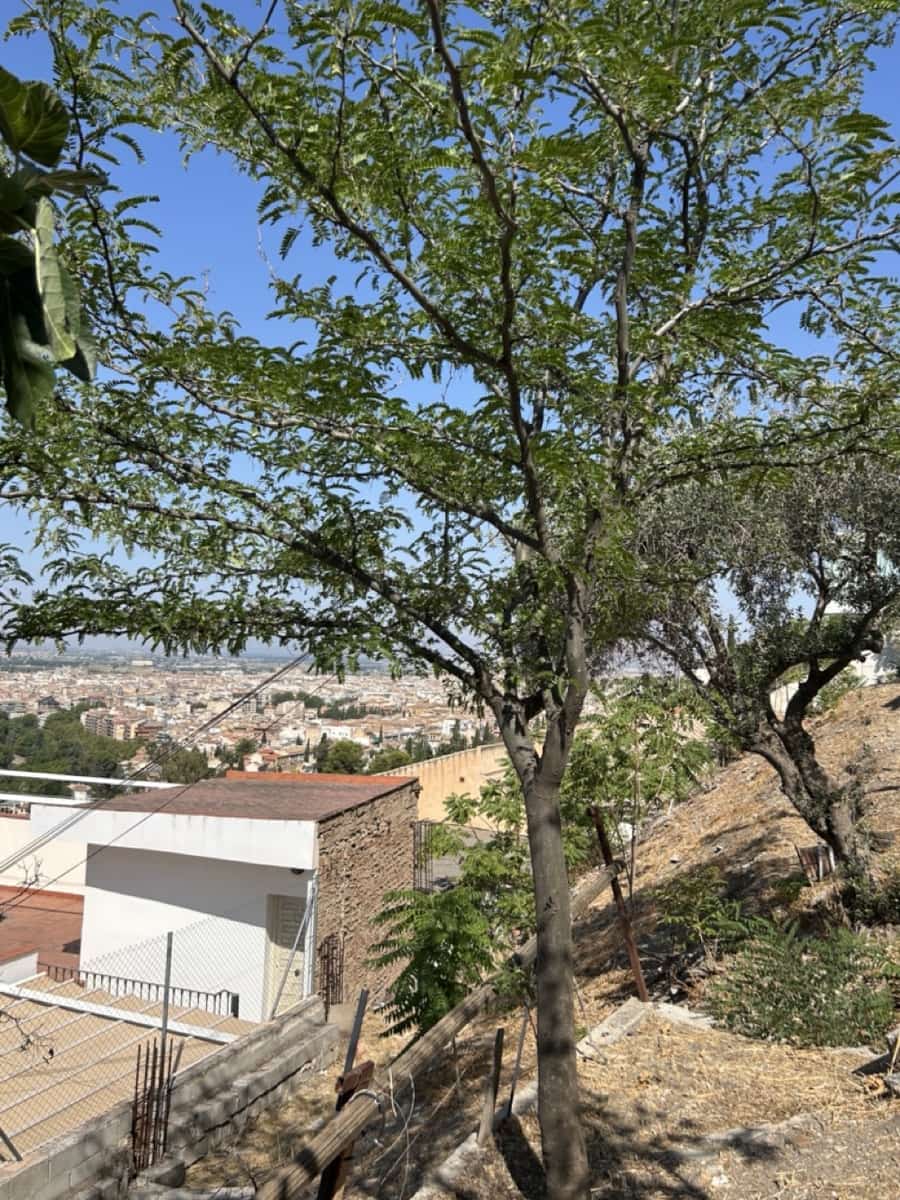 2 soverom Leilighet til salgs i Granada by med garasje - € 260 000 (Ref: 9177118)