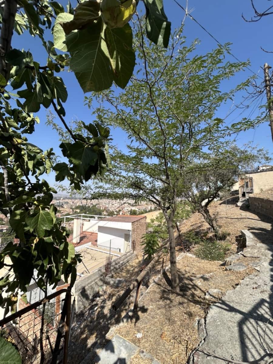 2 soverom Leilighet til salgs i Granada by med garasje - € 260 000 (Ref: 9177118)