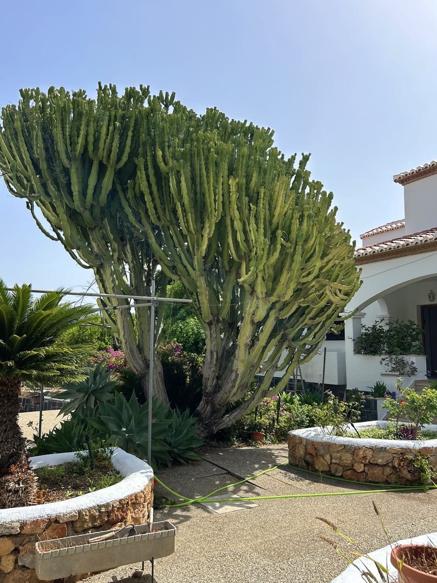 5 soveværelse Villa til salg i Gualchos med swimmingpool garage - € 395.000 (Ref: 9177795)