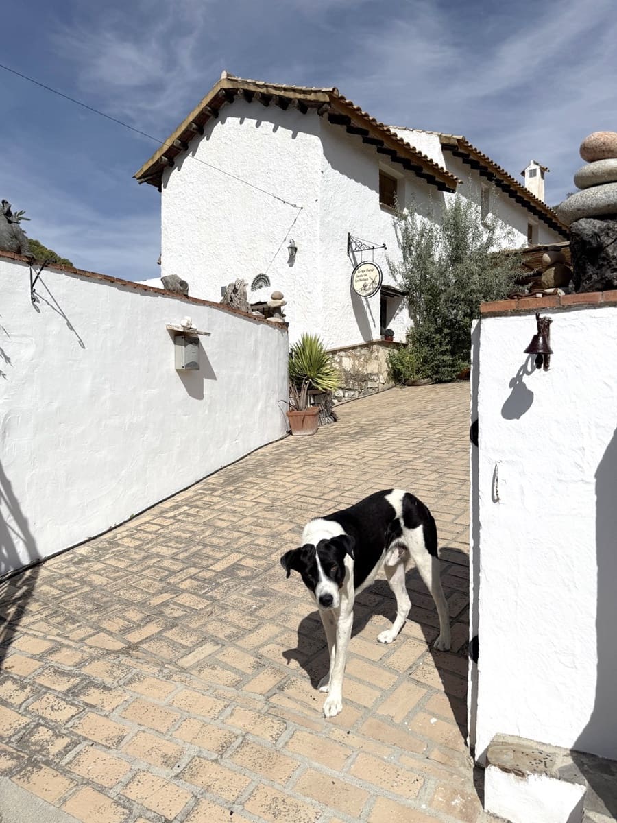 3 soverom Finca/Herregård til salgs i Montefrio med svømmebasseng - € 220 000 (Ref: 9198625)