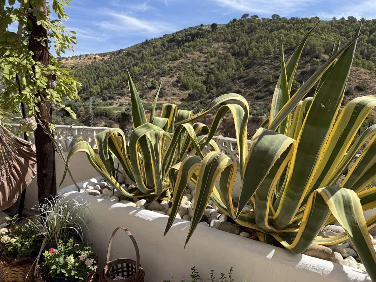 3 soverom Finca/Herregård til salgs i Montefrio med svømmebasseng - € 220 000 (Ref: 9198625)