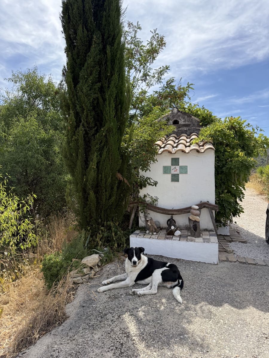 3 soverom Finca/Herregård til salgs i Montefrio med svømmebasseng - € 220 000 (Ref: 9198625)