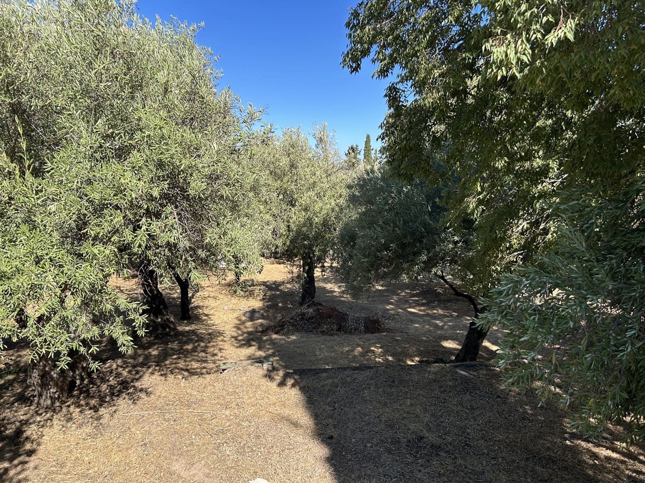 3 soverom Villa til salgs i La Zubia med svømmebasseng garasje - € 320 000 (Ref: 9230695)