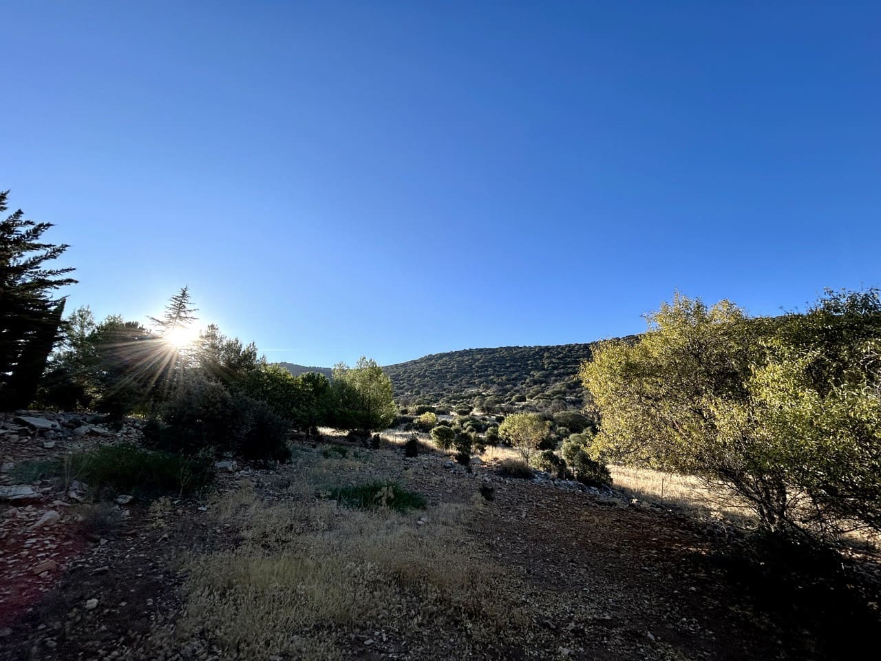 6 soveværelse Finca/Landehus til salg i Colomera med swimmingpool garage - € 1.500.000 (Ref: 9243468)