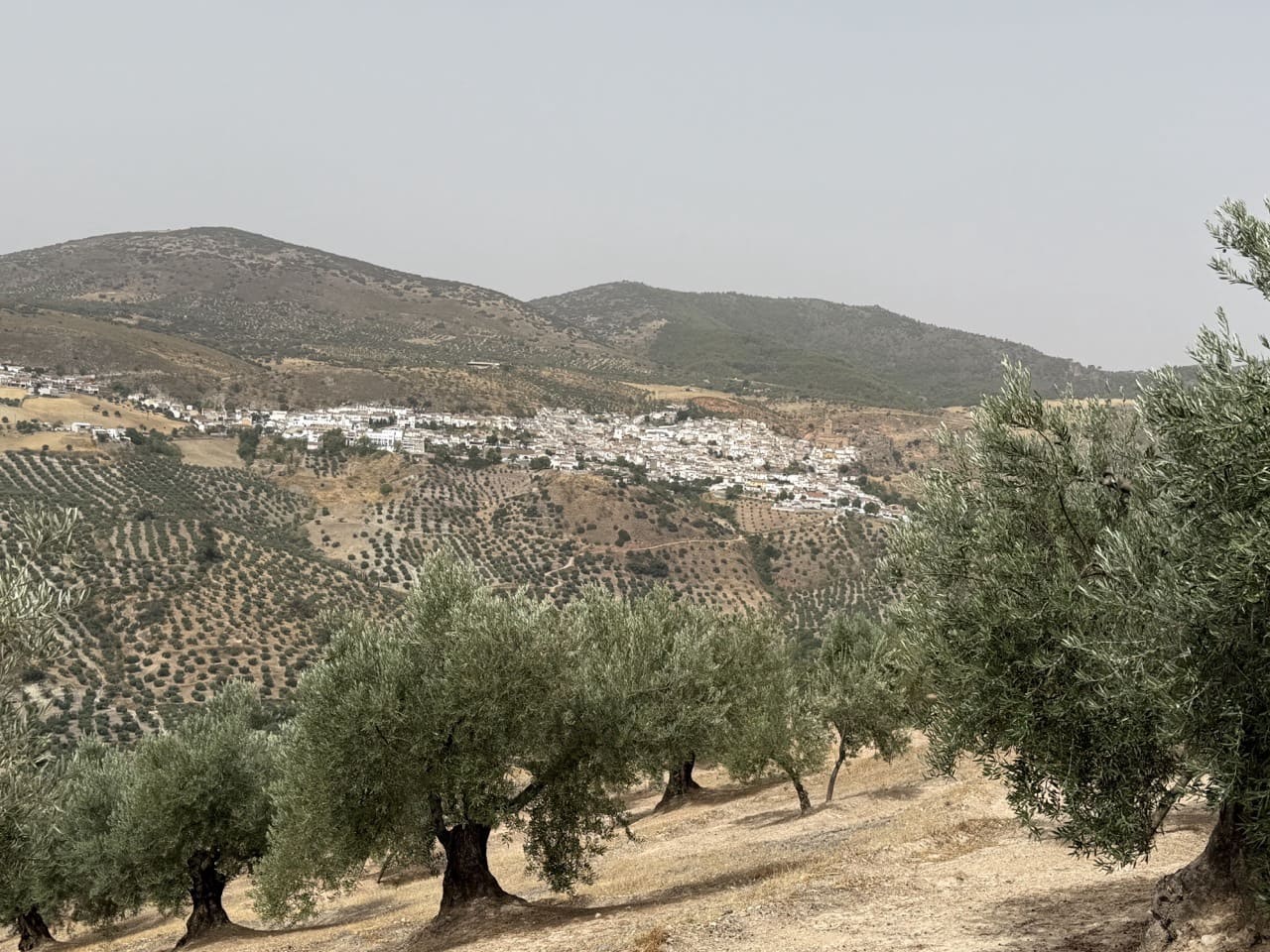 6 soveværelse Finca/Landehus til salg i Colomera med swimmingpool garage - € 1.500.000 (Ref: 9243468)