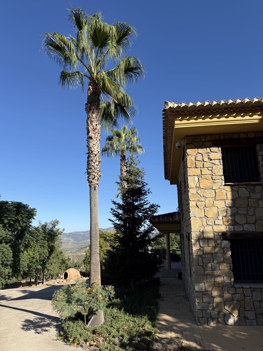 6 soveværelse Finca/Landehus til salg i Colomera med swimmingpool garage - € 1.500.000 (Ref: 9243468)