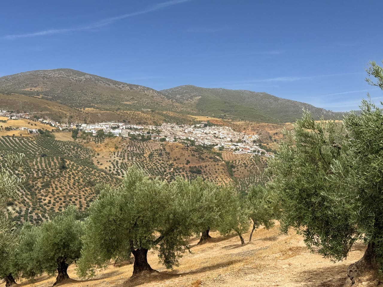 6 soveværelse Finca/Landehus til salg i Colomera med swimmingpool garage - € 1.500.000 (Ref: 9243468)