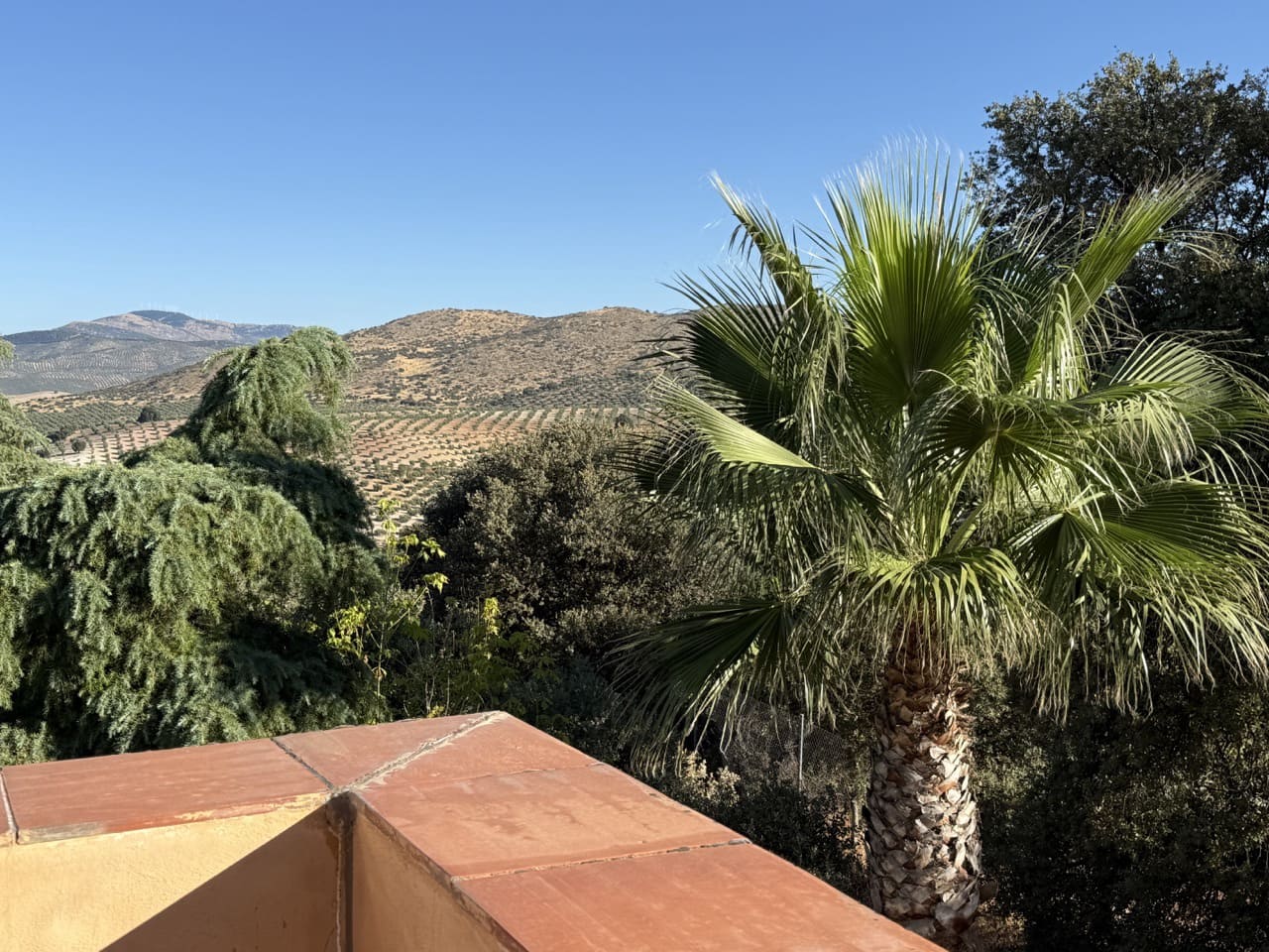 6 soveværelse Finca/Landehus til salg i Colomera med swimmingpool garage - € 1.500.000 (Ref: 9243468)