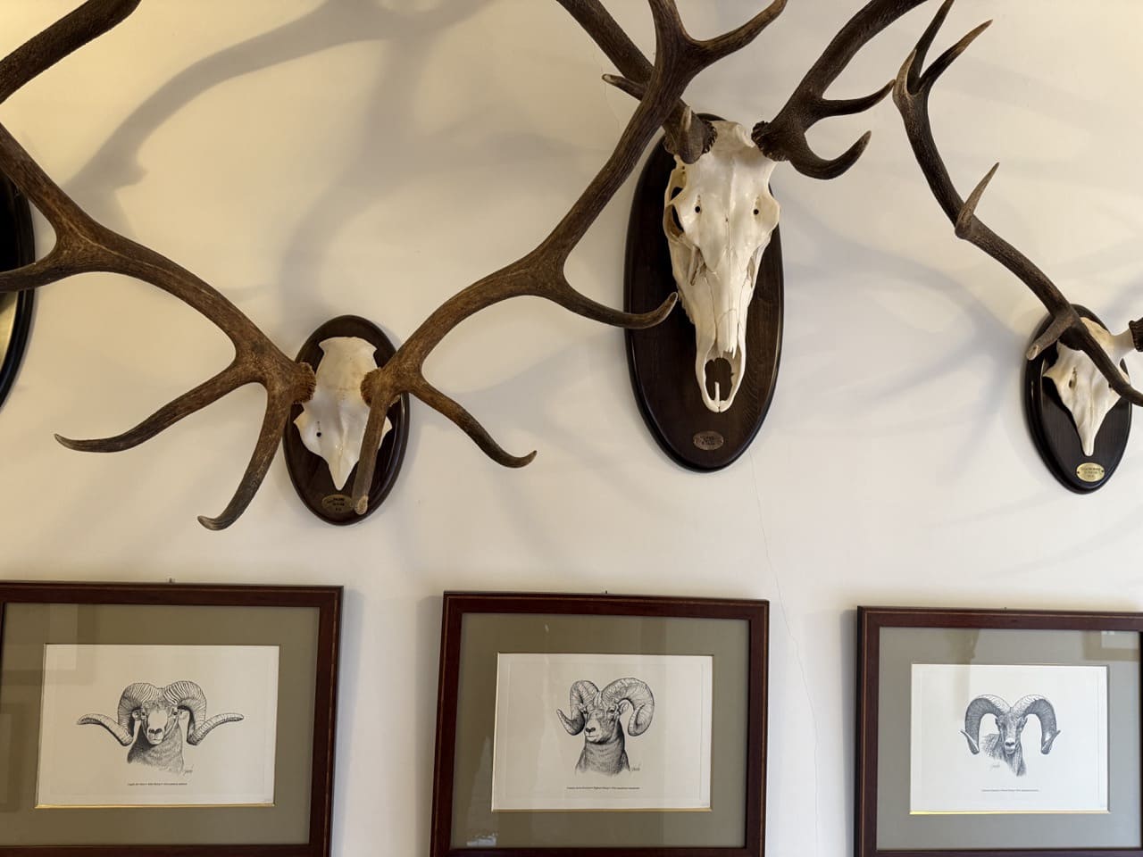 9 sypialnia Finka/Dom wiejski na sprzedaż w Puebla de Don Fadrique z basenem garażem - 7 200 000 € (Ref: 9393478)