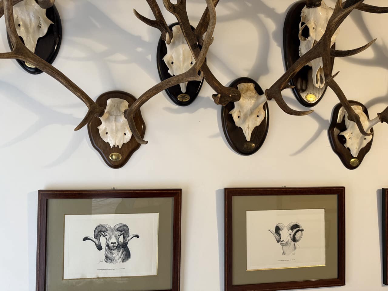 9 sypialnia Finka/Dom wiejski na sprzedaż w Puebla de Don Fadrique z basenem garażem - 7 200 000 € (Ref: 9393478)