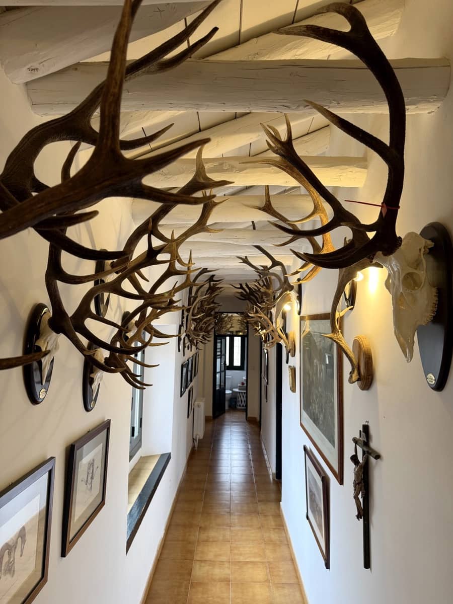 9 sypialnia Finka/Dom wiejski na sprzedaż w Puebla de Don Fadrique z basenem garażem - 7 200 000 € (Ref: 9393478)