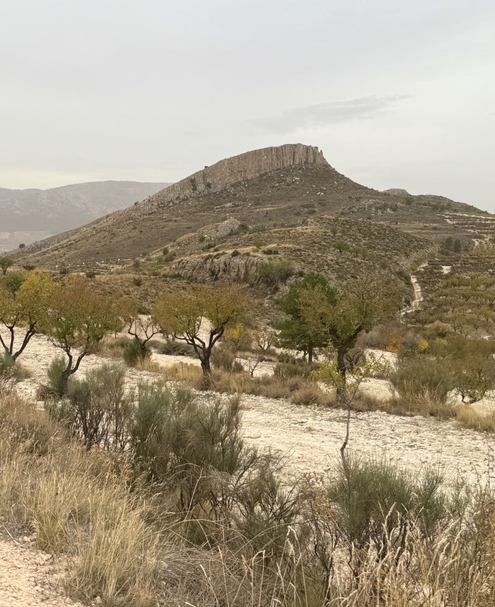 9 sypialnia Finka/Dom wiejski na sprzedaż w Puebla de Don Fadrique z basenem garażem - 7 200 000 € (Ref: 9393478)