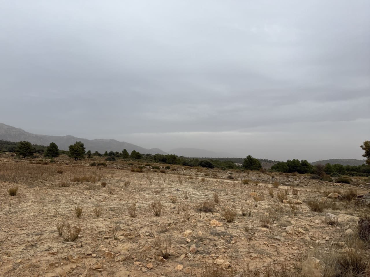 9 sypialnia Finka/Dom wiejski na sprzedaż w Puebla de Don Fadrique z basenem garażem - 7 200 000 € (Ref: 9393478)