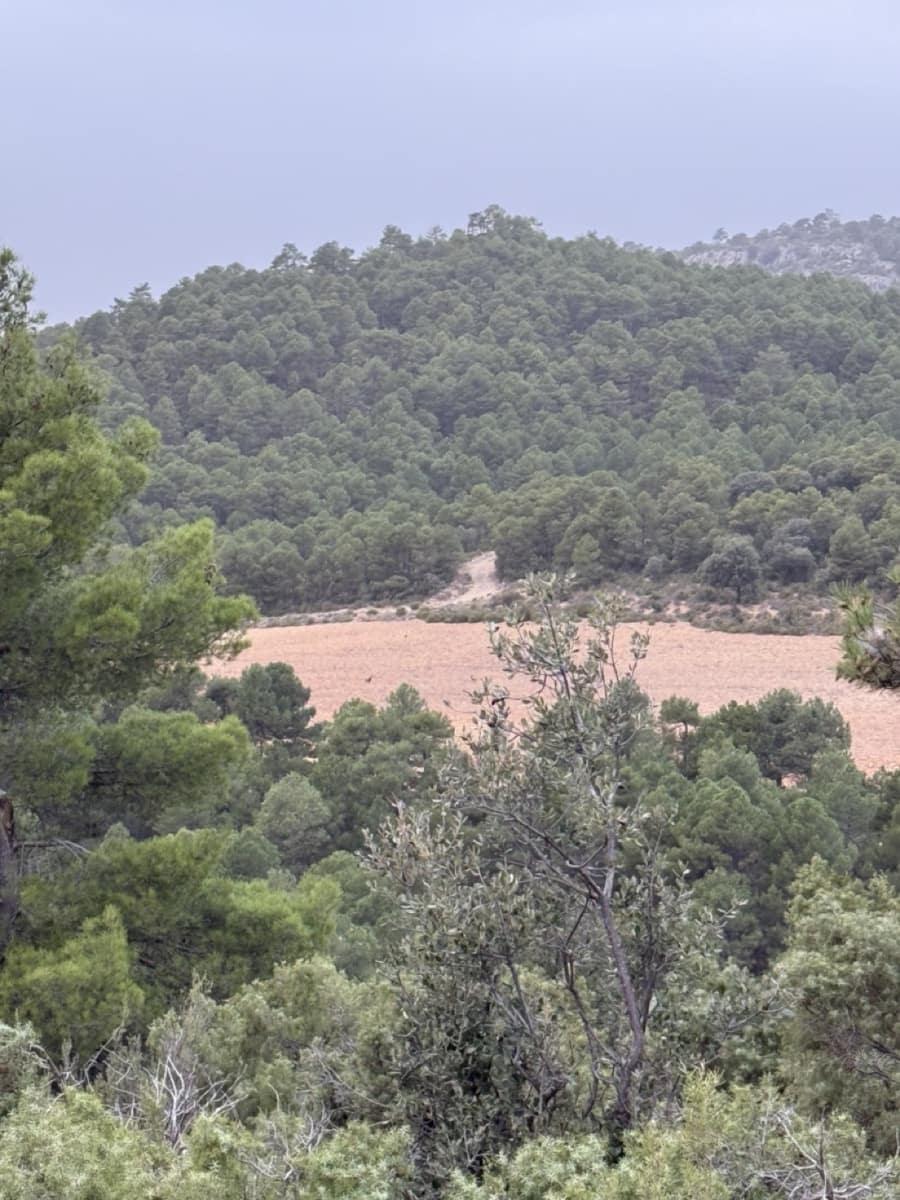 9 sypialnia Finka/Dom wiejski na sprzedaż w Puebla de Don Fadrique z basenem garażem - 7 200 000 € (Ref: 9393478)