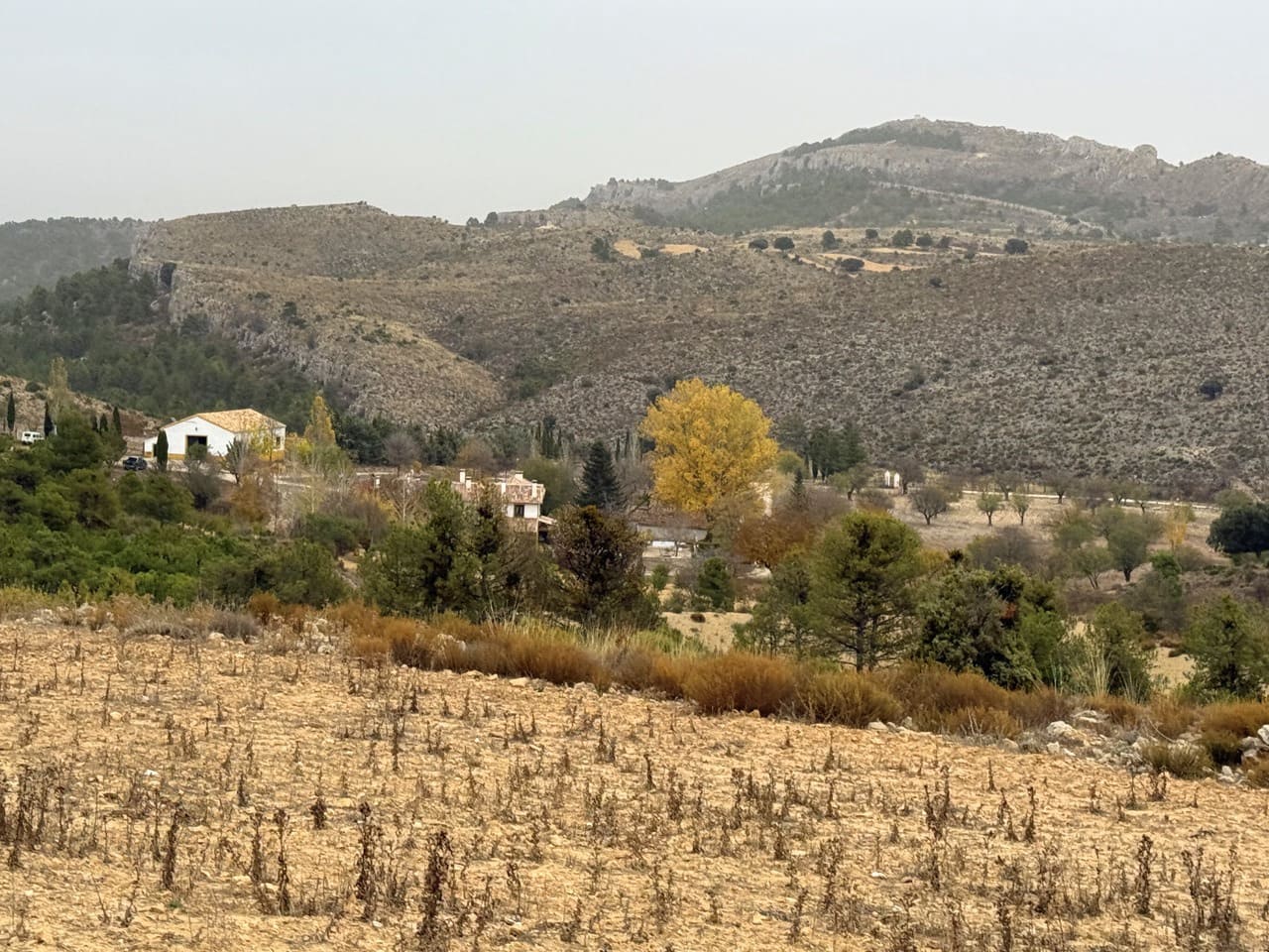 9 sypialnia Finka/Dom wiejski na sprzedaż w Puebla de Don Fadrique z basenem garażem - 7 200 000 € (Ref: 9393478)