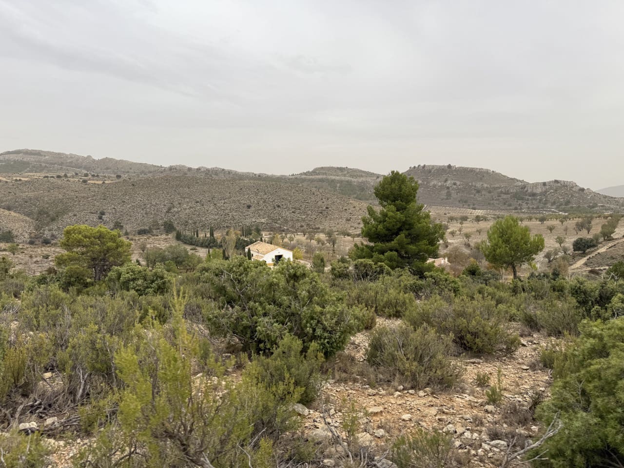 9 sypialnia Finka/Dom wiejski na sprzedaż w Puebla de Don Fadrique z basenem garażem - 7 200 000 € (Ref: 9393478)