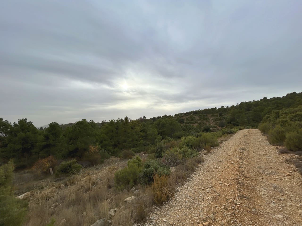 9 sypialnia Finka/Dom wiejski na sprzedaż w Puebla de Don Fadrique z basenem garażem - 7 200 000 € (Ref: 9393478)