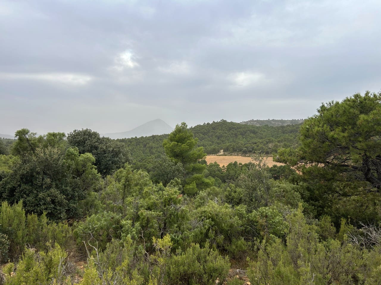 9 sypialnia Finka/Dom wiejski na sprzedaż w Puebla de Don Fadrique z basenem garażem - 7 200 000 € (Ref: 9393478)