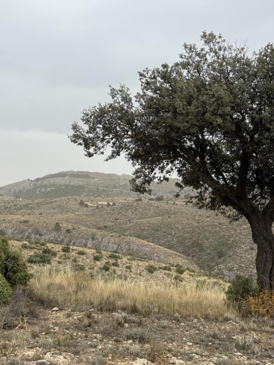 9 sypialnia Finka/Dom wiejski na sprzedaż w Puebla de Don Fadrique z basenem garażem - 7 200 000 € (Ref: 9393478)