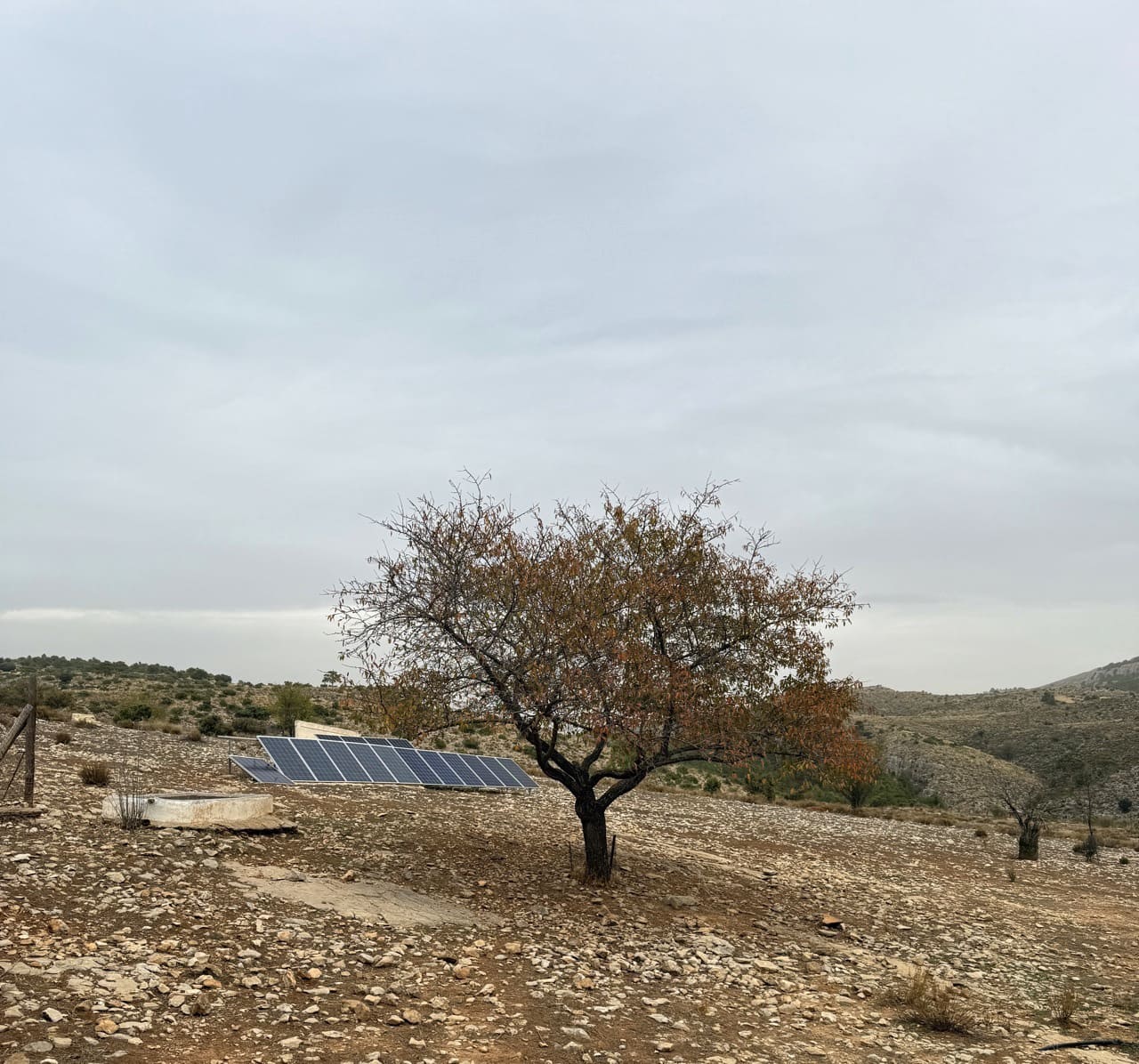 9 sypialnia Finka/Dom wiejski na sprzedaż w Puebla de Don Fadrique z basenem garażem - 7 200 000 € (Ref: 9393478)