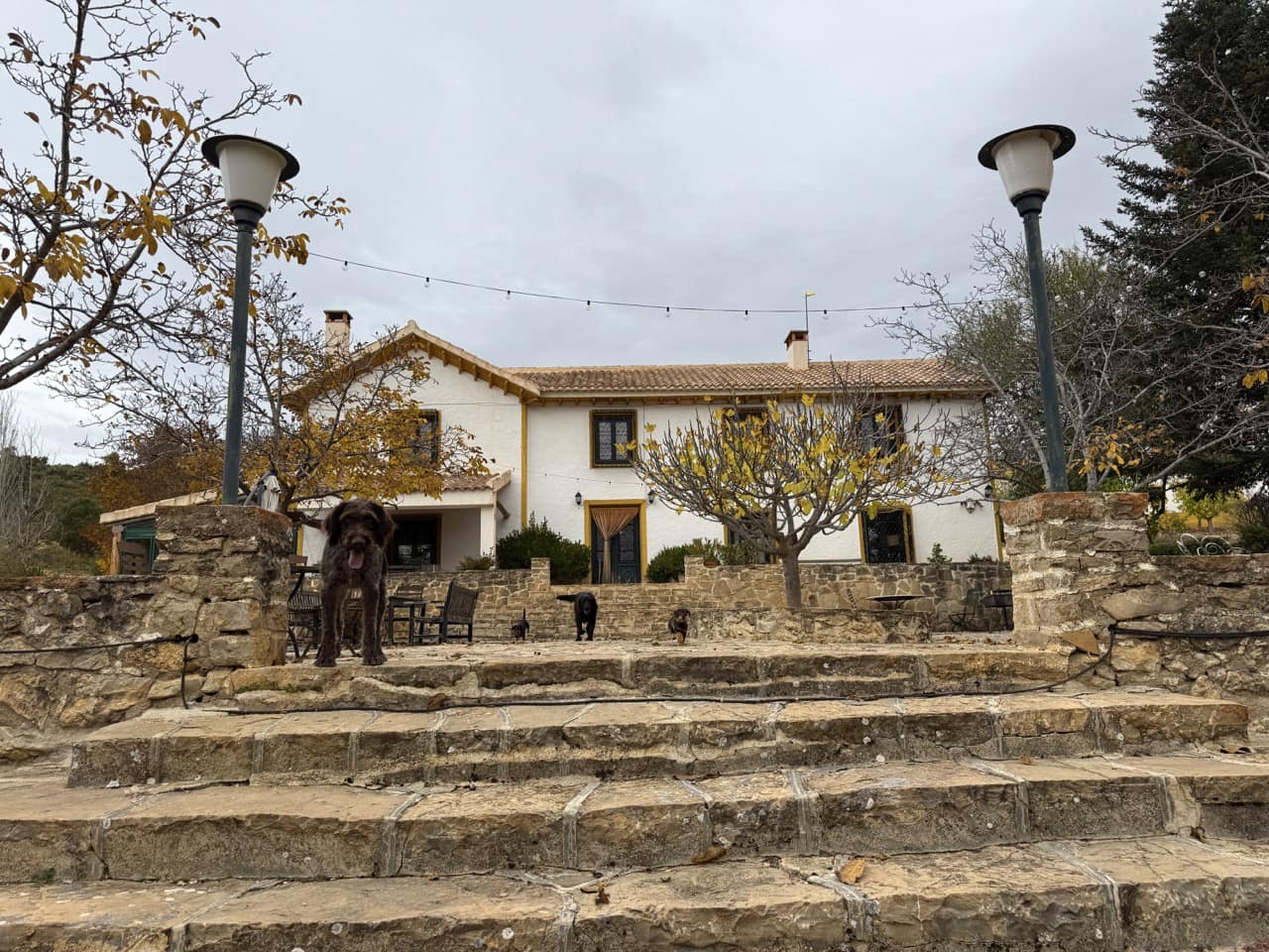 9 sypialnia Finka/Dom wiejski na sprzedaż w Puebla de Don Fadrique z basenem garażem - 7 200 000 € (Ref: 9393478)