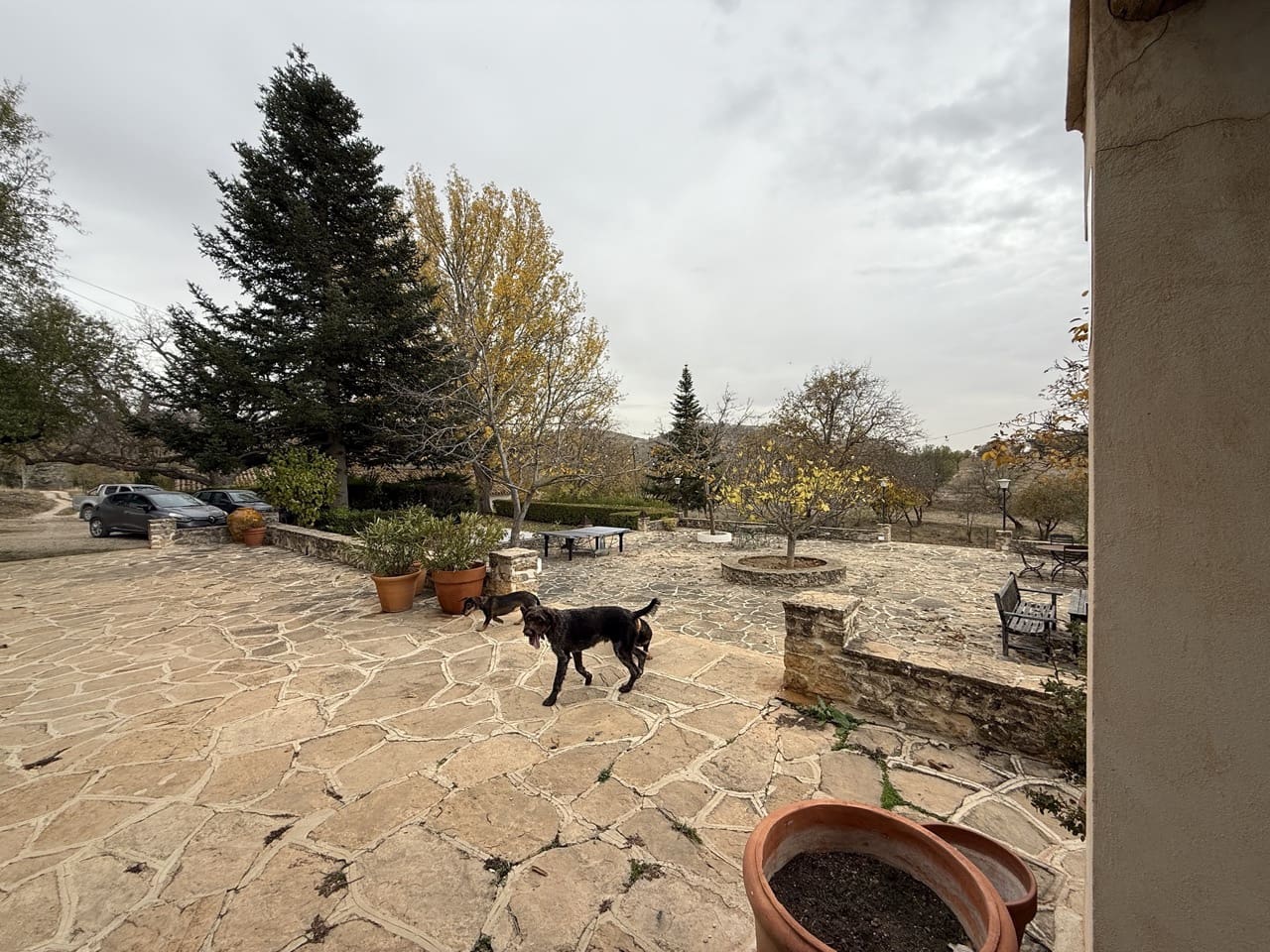 9 sypialnia Finka/Dom wiejski na sprzedaż w Puebla de Don Fadrique z basenem garażem - 7 200 000 € (Ref: 9393478)