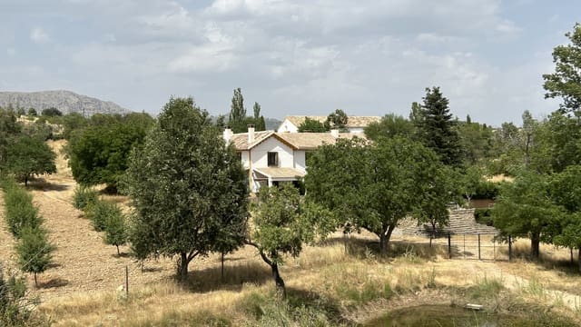 9 soverom Finca/Herregård til salgs i Puebla de Don Fadrique med svømmebasseng garasje - € 6 900 000 (Ref: 9393478)