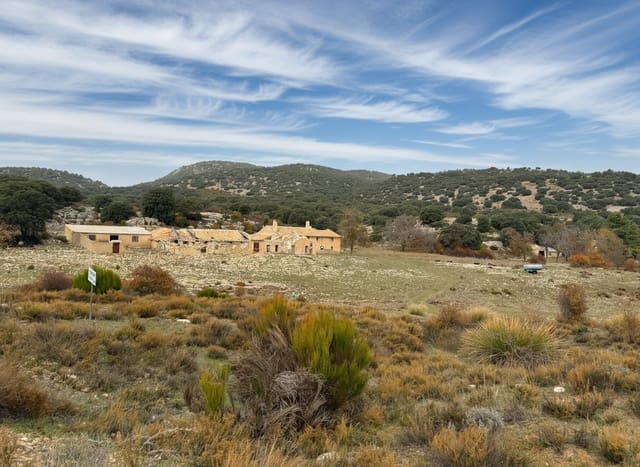 Finca/Hus på landet till salu i Puebla de Don Fadrique - 880 000 € (Ref: 9395396)